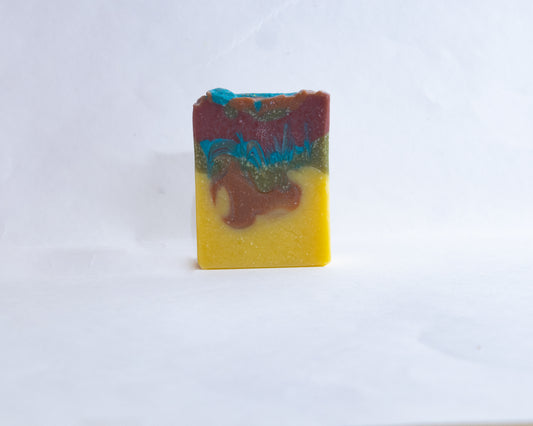 Citrus & Pine Soap